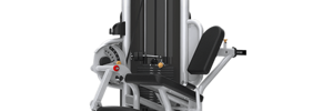 Leg Extension